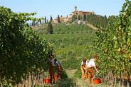 turismo enogastronomico in Toscana